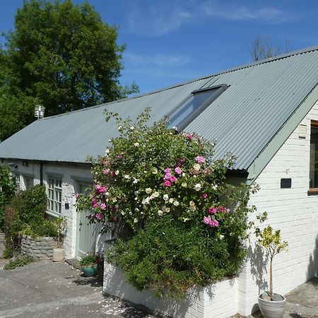 The Garden Room Dundon Esterno foto